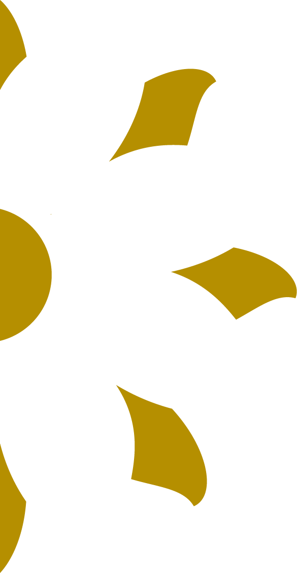 Gold and white flower from logo