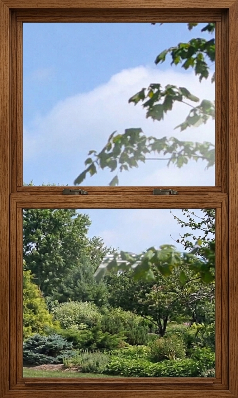 Wood windows